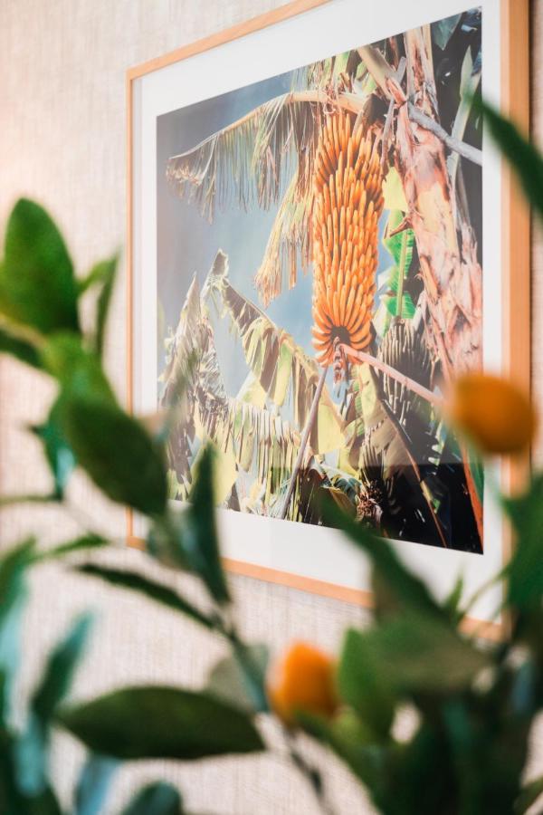 Banana Lodge By Atlantic Holiday Funchal Dış mekan fotoğraf